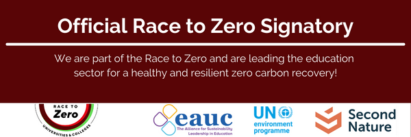 race to zero logo