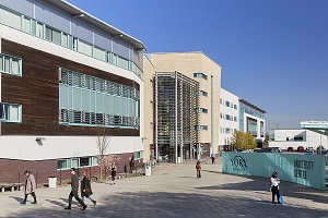 York college case study image